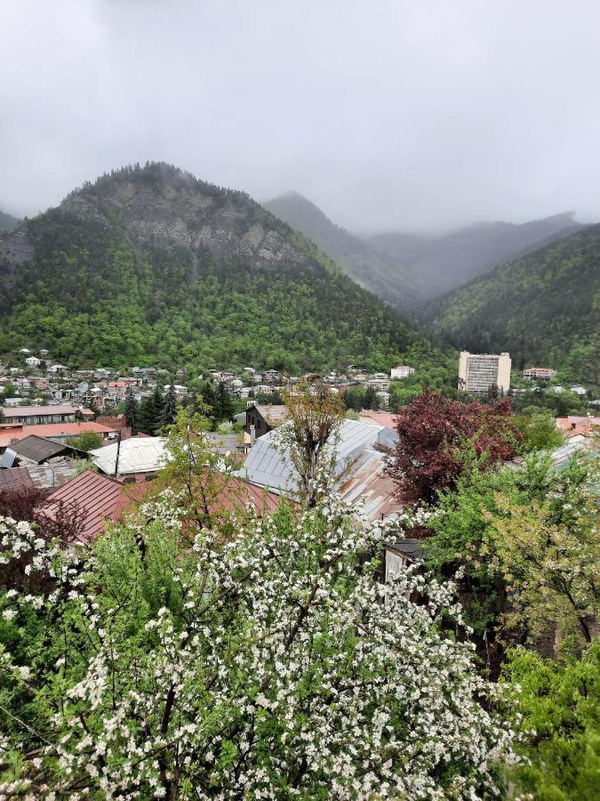 Guest House Bochora Borjomi Exterior foto